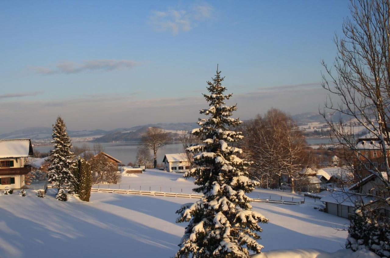 Gasthof Zur Seeburg Seekirchen am Wallersee Ngoại thất bức ảnh